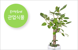 ����/������ȭ