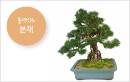 ��/���ڱ����